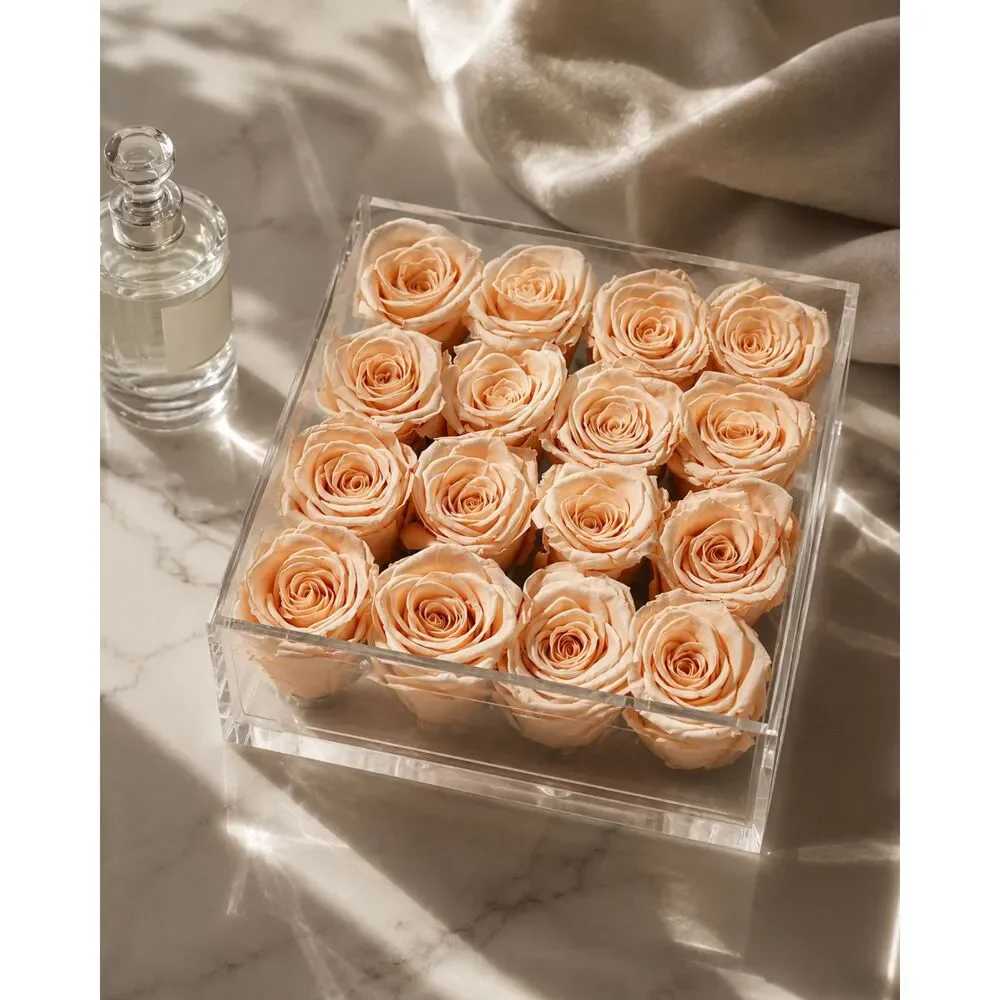 16 Preserved Blush Peach Roses in Clear Acrylic Box Luxury Floral Arrangement